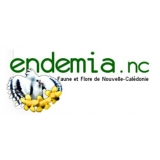 Endemia