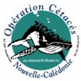 Opération Cétacés